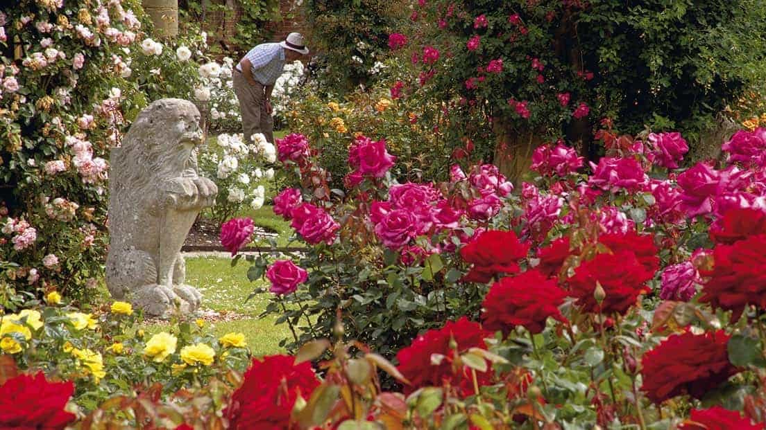 Hever Castle